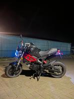 Gomax Dragon 50cc - voor de handige harrie, Maximaal 45 km/u, 49 cc, 4 versnellingen, Ophalen