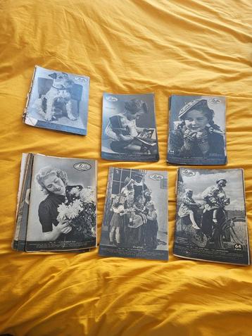 17 oude Libelle's beschikbaar voor biedingen