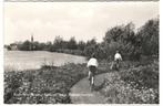 D-445 Roelofarendsveen, Verzamelen, Ansichtkaarten | Nederland, Verzenden, 1960 tot 1980, Ongelopen, Zuid-Holland