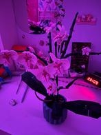 Lego orchidee, Kinderen en Baby's, Speelgoed | Duplo en Lego, Ophalen, Zo goed als nieuw, Complete set, Lego