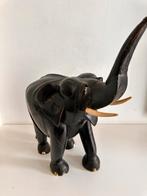 Ebbenhouten Mega grote OLIFANT Congo 1920, Ophalen of Verzenden