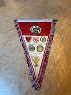 Ajax vaan Winnaar Europa Cup 1 1972, Verzamelen, Sportartikelen en Voetbal, Ophalen of Verzenden, Zo goed als nieuw, Ajax, Vaantje of Sjaal