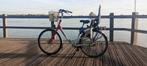 Gazelle Bloom Damesfiets, Ophalen, Versnellingen, 56 cm of meer, Zo goed als nieuw