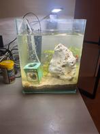 Aquarium 25x31cm, Dieren en Toebehoren, Vissen | Aquaria en Toebehoren, Ophalen, Leeg aquarium