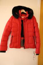 Wellensteyn Belvedere winter jas, Ophalen of Verzenden, Zo goed als nieuw, Maat 42/44 (L), Rood