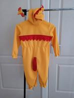 Vintage carnavalskleding kip., Ophalen of Verzenden, Gebruikt, Jongen of Meisje