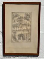 Oude anatomische gravure bloedsomloop, Ophalen of Verzenden