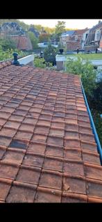 Tule du Nord (gratis af te halen), Doe-het-zelf en Verbouw, Dakpannen en Dakbedekking, Ophalen of Verzenden, Steen of Klei, 15 m² of meer