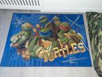 Teenage Mutant Ninja Turtles speelkleed, Ophalen, Gebruikt, 100 tot 150 cm, Bruin