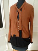 Sonia Rykiel Paris fijnste pure cashmere vest/trui + kristal, Kleding | Dames, Truien en Vesten, Maat 38/40 (M), Overige kleuren