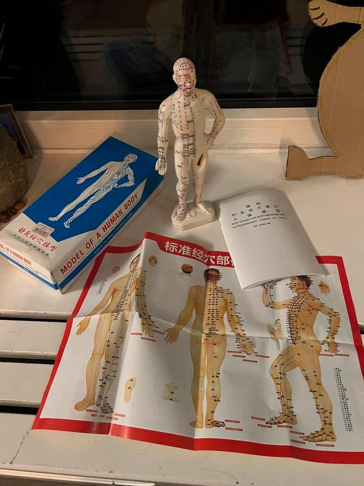 Accupunctuur Mannequin - Model van Menselijk Lichaam, Antiek en Kunst, Antiek | Religie, Ophalen of Verzenden