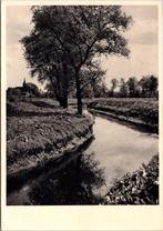 Landschap bij 's Gravenmoer - De Donge, Verzamelen, Ansichtkaarten | Nederland, Verzenden, 1940 tot 1960, Ongelopen, Noord-Brabant