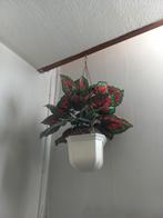 Hand bloem pot kunst, Huis en Inrichting, Woonaccessoires | Kunstplanten en Kunstbloemen, Ophalen of Verzenden, Zo goed als nieuw