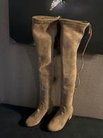 Suède knie laarzen, Hoge laarzen, Beige, Nieuw, New Yorker