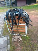 Te koop, Dieren en Toebehoren, Ophalen, Overige soorten