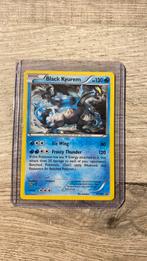Black Kyurem XY160 Promo, Ophalen of Verzenden, Zo goed als nieuw, Losse kaart