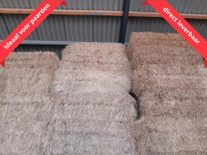Grote en kleine hooi en stro balen te koop, Zakelijke goederen, Agrarisch | Veevoer, Ophalen