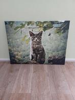 Canvas, schilderij, afm 80x60cm, poes, kat, Ophalen, Zo goed als nieuw, Schilderij