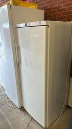 Nofrost diepvrieskasten, Witgoed en Apparatuur, Vriezers en Diepvrieskisten, Ophalen, 160 cm of meer, Zo goed als nieuw, Vrijstaand