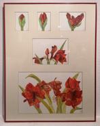 Jacqueline HALLEUX (XX–XXI) – Bloemstudie in opeenvolgende, Ophalen of Verzenden