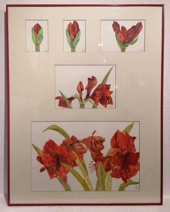 Jacqueline HALLEUX (XX–XXI) – Bloemstudie in opeenvolgende, Antiek en Kunst, Kunst | Tekeningen en Foto's, Ophalen of Verzenden