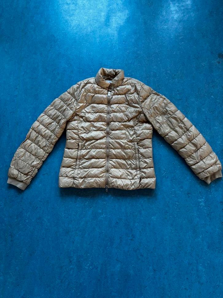 Woolrich, Kleding | Dames, Jassen | Winter, Zo goed als nieuw, Maat 36 (S), Beige, Ophalen of Verzenden
