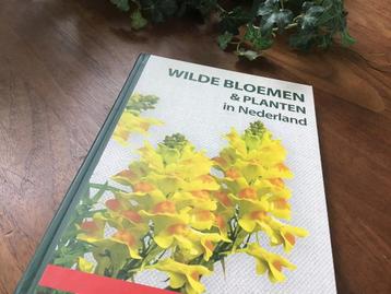 NIEUW: NEIL FLETCHER “WILDE BLOEMEN & PLANTEN IN NEDERLAND” beschikbaar voor biedingen