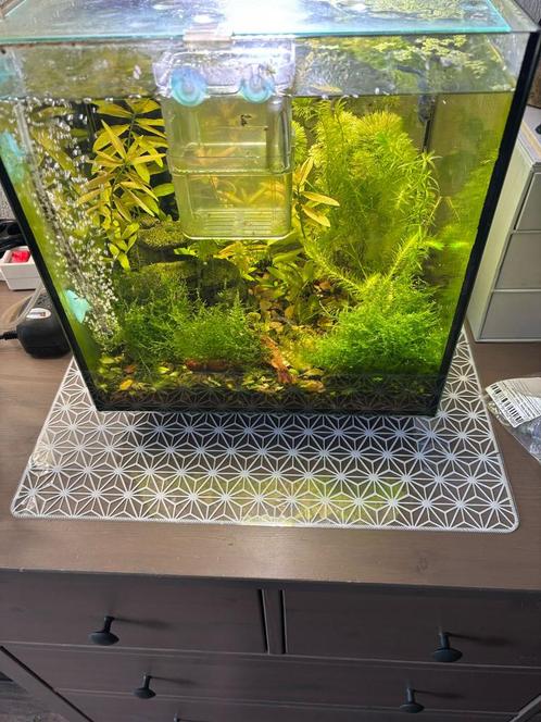 superfish qubiq 30 pro, Dieren en Toebehoren, Vissen | Aquaria en Toebehoren, Zo goed als nieuw, Leeg aquarium, Ophalen