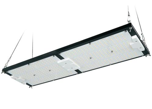 240w Quantum Board Led Kweeklamp, Tuin en Terras, Kweekspullen, Nieuw, Kweeklamp, Ophalen of Verzenden