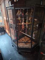 Grote Montana papegaaien hoek kooi zgan, Dieren en Toebehoren, Vogels | Hokken en Kooien, Ophalen, Zo goed als nieuw, Metaal, Vogelkooi
