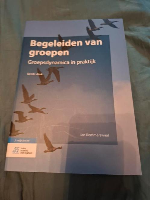 Jan Remmerswaal - Begeleiden van groepen, Boeken, Wetenschap, Nieuw, Ophalen of Verzenden