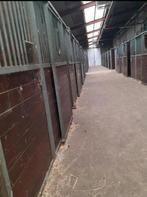 Paardenstallen en wanden een complete stal (€550 3! wanden), Dieren en Toebehoren, Stalling en Weidegang, Stalling, 1 paard of pony