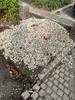 Maasgrind, gratis af te halen, Tuin en Terras, Grind, Keien en Split, Ophalen, Overige materialen, Zo goed als nieuw, Grind