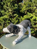 (Tuin)beeld Bordercollie, hond, tuin, kennel 60cm, Tuin en Terras, Ophalen, Nieuw, Kunststof, Dierenbeeld