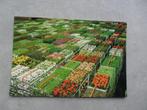 Aalsmeer, bloemenveiling potplanten afdeling, Verzenden