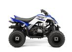Yamaha Raptor 90cc Quad, Motoren, 90 cc, 11 kW of minder, 1 cilinder