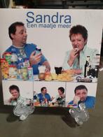 Sandra een maatje meer cd single, Ophalen, Zo goed als nieuw, Nederlandstalig