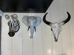 3 verschillende dierenkoppen., Ophalen of Verzenden, Gebruikt, Overige soorten, Gewei of Kop