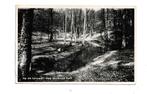 49/50 Het Sollense gat Veluwe, Ophalen of Verzenden, 1960 tot 1980, Gelopen, Gelderland
