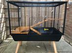 Knaagdierenkooi (rat), Dieren en Toebehoren, Knaagdieren en Konijnen | Hokken en Kooien, Ophalen, Kooi, Gebruikt, 60 tot 90 cm