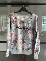 TERRANOVA Sweater maat M, Kleding | Dames, Maat 38/40 (M), Ophalen of Verzenden, Zo goed als nieuw, Terranova