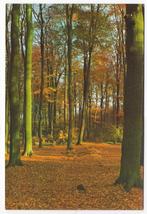 Westerhoven Eurostrand  Gelopen Ansichtkaart ( B6247 ) , Verzamelen, Ansichtkaarten | Nederland, Ophalen of Verzenden, Gelopen