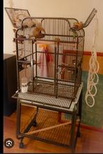 Vogelkooi  papegaai klein of groot, Dieren en Toebehoren, Vogels | Hokken en Kooien, Ophalen, Metaal, Vogelkooi