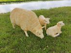 Set van 3 Texelse Schapen, Ophalen, Nieuw, Kunststof, Dierenbeeld
