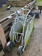 schapen en geiten behandelbox/kantelaar, Vrouwelijk, Schaap