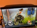 Aquarium en toebehoren, Ophalen, Zo goed als nieuw