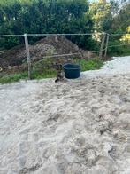 Paardenmest half compost, Tuin en Terras, Aarde en Mest, Ophalen, Mest