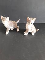 Poesjes Materiaal: Kunststof, Ophalen of Verzenden, Nieuw, Dier