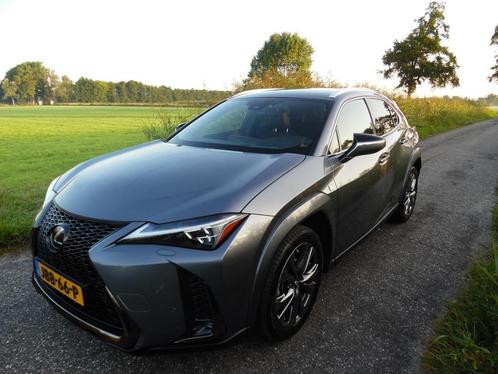 Lexus UX 250H F Sport Premium Leder/Carplay/Led/Camera/PDC, Auto's, Lexus, Bedrijf, UX, ABS, Achteruitrijcamera, Adaptieve lichten