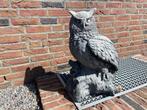 Uil . 58cm hoog, Ophalen, Nieuw, Beton, Dierenbeeld